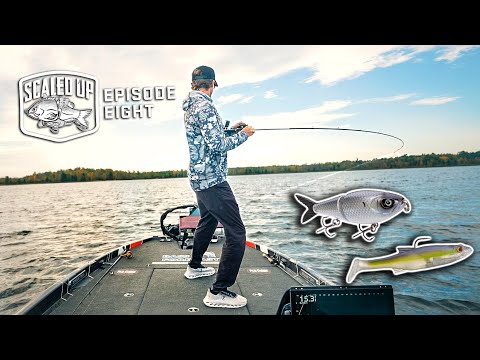 The BEST Swimbait Fishing Day Of My LIFE! ("Scaled Up" Ep. 8)