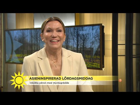 Jakten på en ny regering: ”Kommer bli en svekdebatt” - Nyhetsmorgon (TV4)