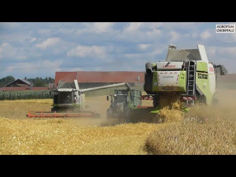 Im Team - 15m auf einmal - Claas Lexion 740 und 560 beim Gerste dreschen -Landw. Lohnbetrieb Zollner