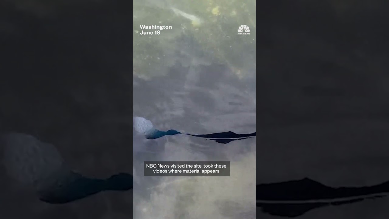 Video: NBC reports paint peeling, algae at renovated Lincoln Memorial Reflecting Pool