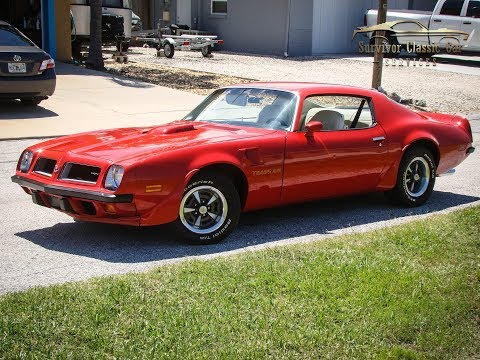 1974 Pontiac Firebird Trans Am (CC-1323125) for sale in Palmetto, Florida