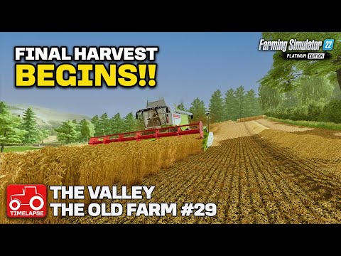STARTING THE FINAL HARVEST!! FS22 Timelapse The Valley The Old Farm Ep. 29