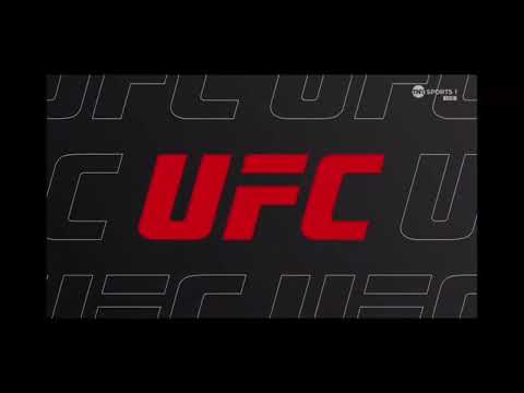 Adrian Yanez vs Vinicius Salvador