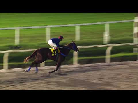 210530 c08 RISENT DAY