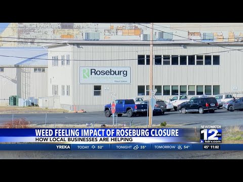 How the Weed community is grappling with the Roseburg Forest Products closure