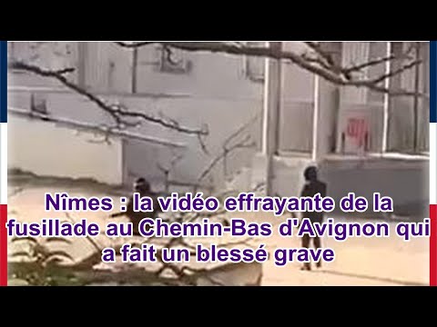 Nîmes : la vidéo effrayante de la fusillade au Chemin-Bas d'Avignon qui a fait un blessé grave