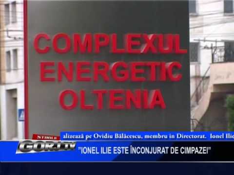 IONEL ILIE ESTE INCONJURAT DE CIMPANZEI