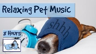 8 HOURS OF RELAX MY DOG MUSIC!! Longest Video Yet! Relaxing Pet Music, Soundsweep 🐶 RMD03