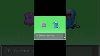 Ditto and Wobbuffet Fusion #pokemon #pokemontcg #pokemoncommunity #pokemonfan