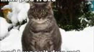 Random stuff 3 amv-cauterize minor key symphany