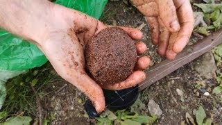Как сделать аттрактант из мотыля