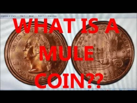 CHECK YOUR POCKET CHANGE FOR THESE RARE AND VALUABLE MULES