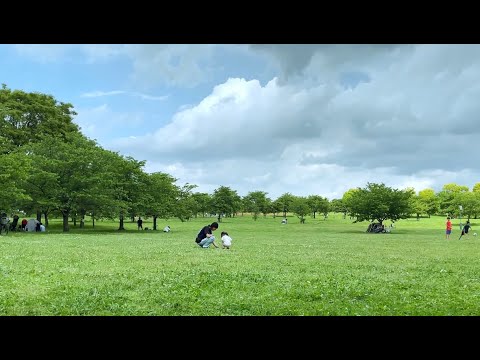 TYOSiN - See Saw (Music Video)