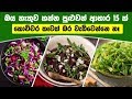 foods-to-eat-without-getting-fat-29-09-2019