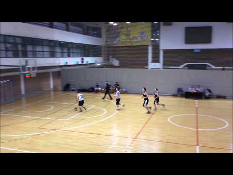 CroHoops Division I 2019/20 Rnd.14 - Kuslanova vs. Optika Sokol Stenjevec Highlights