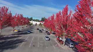 09 27 2025 , Marysville Washington, Autumn is here