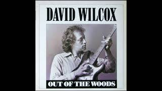 David Wilcox   A Little Chunk of You on HQ Vinyl with Lyrics in Description