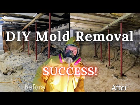 The Mold is gone | Update on DIY mold removal
