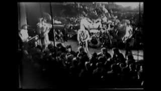 The Clash - LIVE IN 1977 [VIDEO]