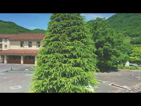 人間文化学科 山梨英和大学（人間文学部人間文化学科）【Campus movie】