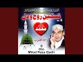 Naat Sarkar Kee Parta Hoon Mein