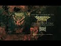 Sickening Horror - Fragments of Time Video