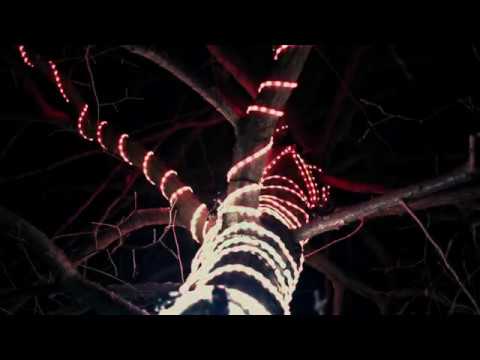 Glow Festival - Whispering Trees