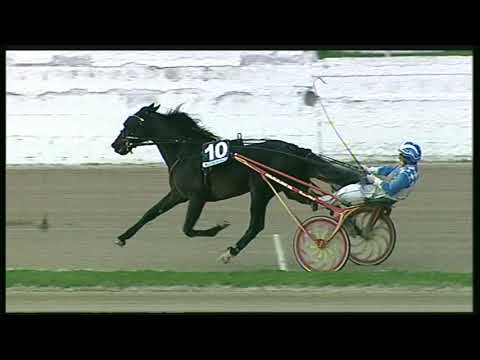 Trotto 13/11/2020 - 4ª corsa