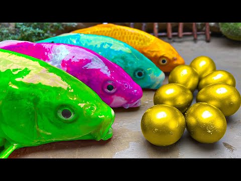 Magnetic Rainbow Fish - Trap Catfish, Crocodile, Colorful Eel Hunting Koi Fish Experiment