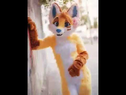 AMV            Furry#129