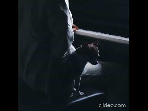 Idea 22 -Gibran Alcocer, 10 hours