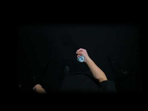 インペリアル・レガリア２