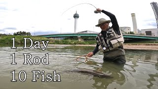 조과에 연연하다!  (잉어 플라이낚시-Carp fly fishing )