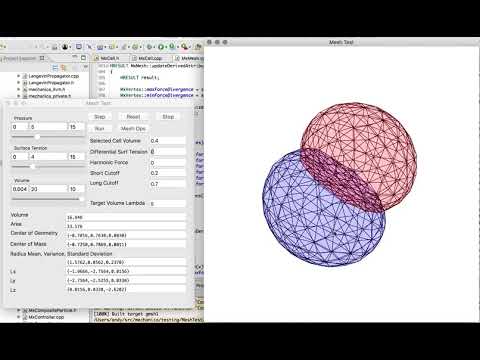 Differential Surface Tension -- Simple Mitosis Model