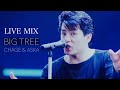 BIG TREE / CHAGE & ASKA