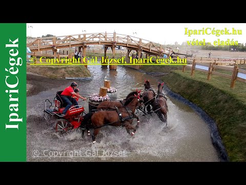 Fogathajtás, VOUTAZ Jérôme (43), SUI, 7s, Marathon, 4K, Bp, 2021, sv4K210904-3-1273-221102