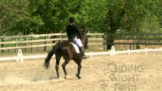 preview picture of video 'Nicole: 2012 Dressage Schooling Show at Riding Right Farm'