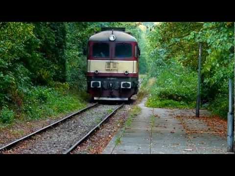 Fluieroasa DA 60 1006-0 in Baile Felix (23 08 2012)