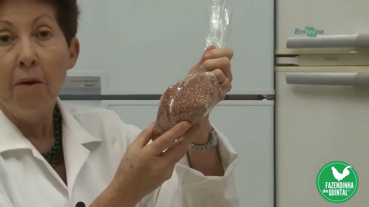 Produção de Cogumelos Capim como Substrato Barato e Ecológico (técnica chinesa JunCao)