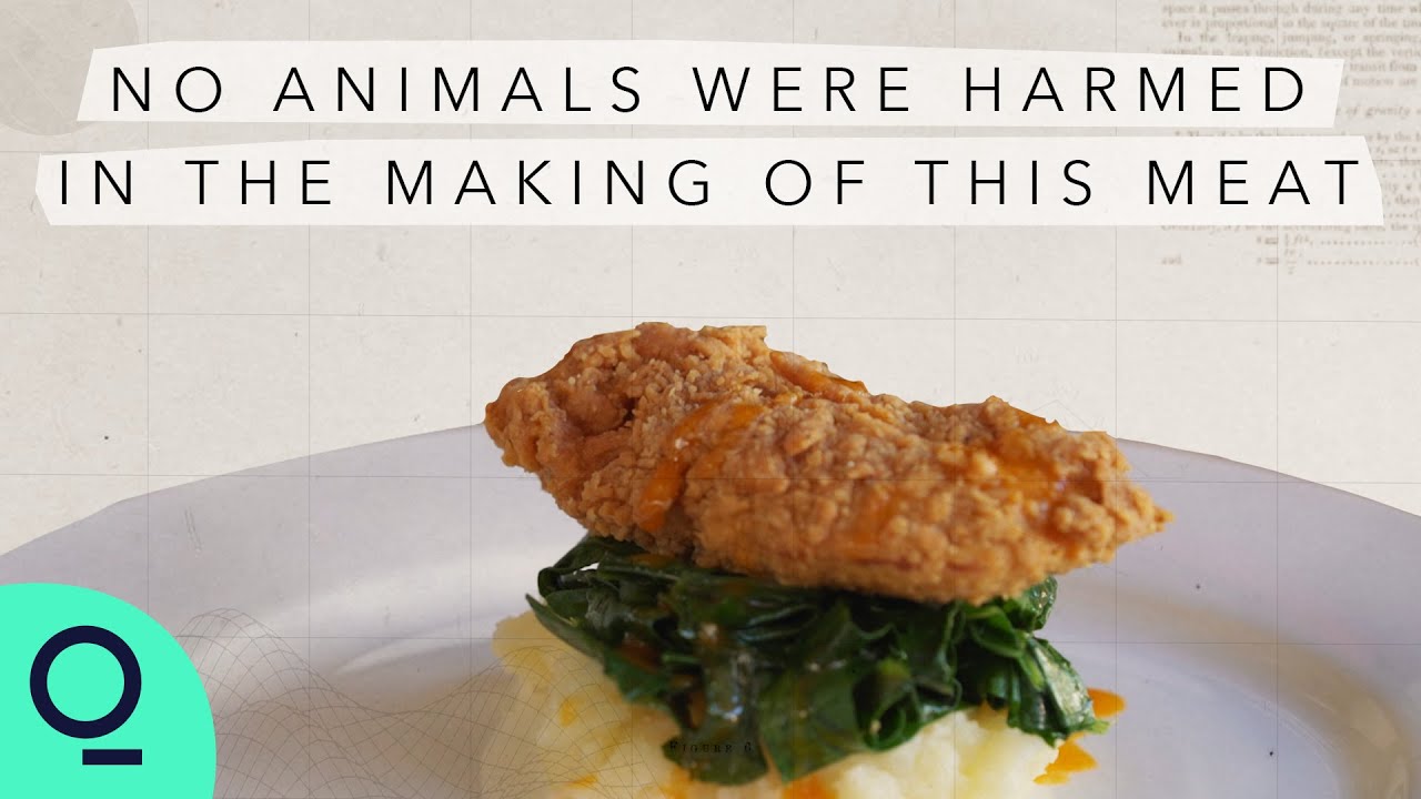 Lab-Grown Real Meat is Finally Here