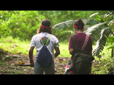 “Forest Friends: Restoring Wildlife Corridors in Osa”