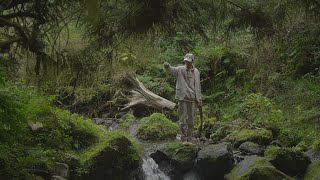 Timberland nonnative Spring 2025