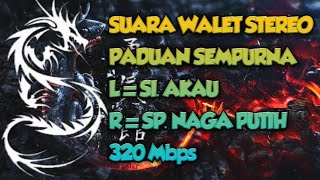 Download lagu Suara walet stereo - SP. Naga putih vs SI. Akau mp3 Download lagu Suara walet stereo - SP. Naga putih vs SI. Akau mp3