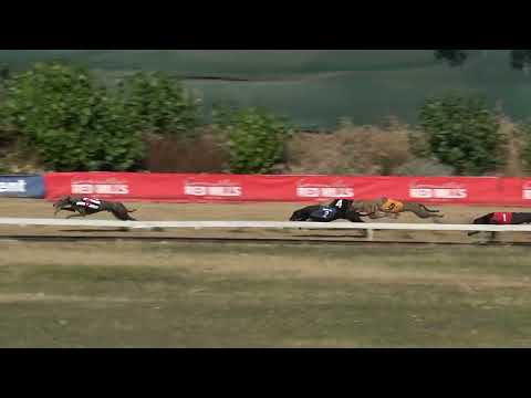 Race 5 Czech Sprint Derby Trial Stake - OR  275m