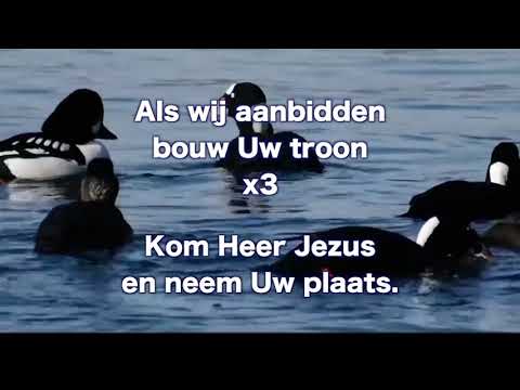 Opwekking 237 Jezus wij verhogen U