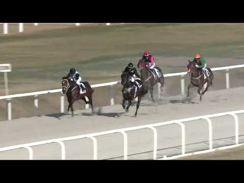 2022.03.27. 06. futam - ARANYESŐ HENDIKEP (IV.o.) (szintetikus pálya)