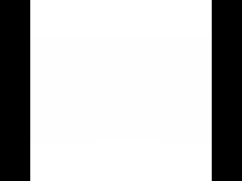 The Bulls vs Shohoku