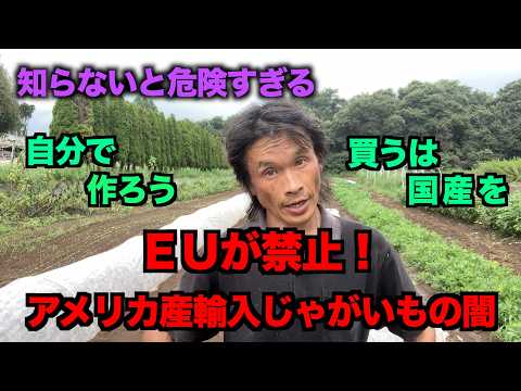 家庭菜園 じゃがいも」のYahoo!リアルタイム検索 - X（旧Twitter）を