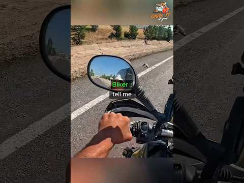 A Biker changes an abandoned Dog's life 🙊