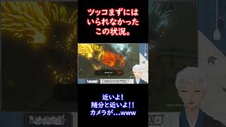 【ゼルダの伝説ティアーズオブザキングダム】血が騒いだ。#Shorts